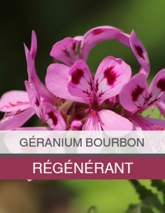 Huile Essentielle de... 2