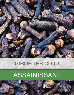 Huile Essentielle de... 2