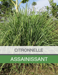 Huile Essentielle de... 2