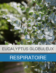 Huile Essentielle... 2