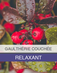 Huile Essentielle de... 2