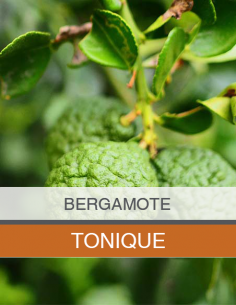 Huile Essentielle de... 2