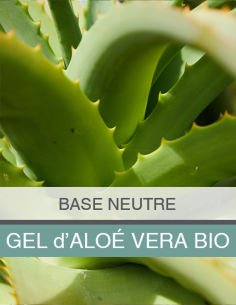 Gel aloé vera bio 2
