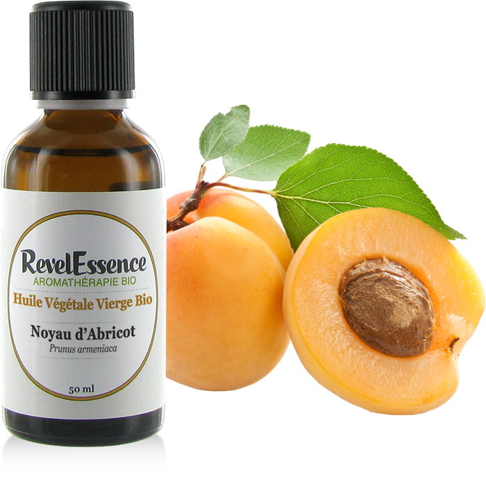 huile-vegetale-noyau-Abricot-50ml-visuel