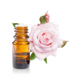 Absolue-rose