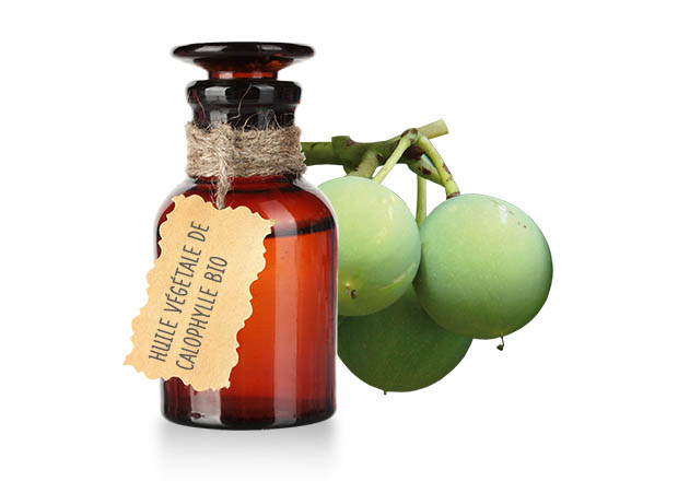 huile-vegetale-calophylle