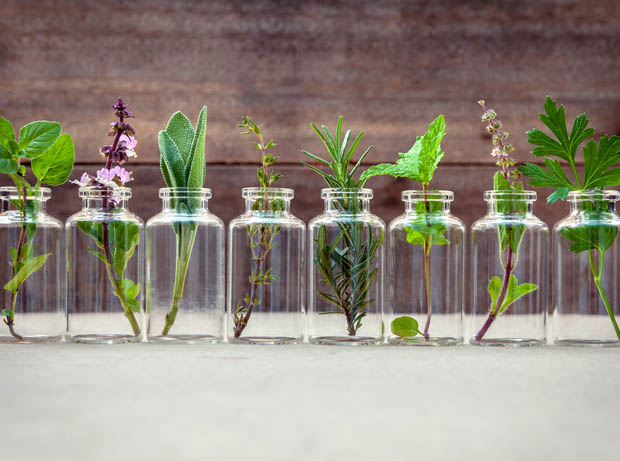 Alzheimer et huiles essentielles