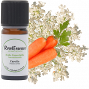huile-essentielle-carotte-conventionnelle-10ml