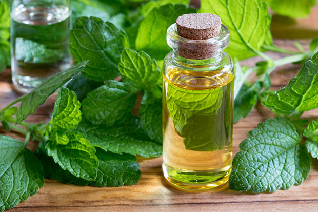 Huile Essentielle Bio de Menthe verte
