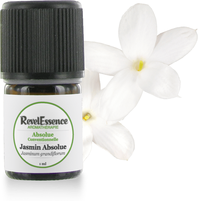 Huile-Essentielle-Jasmin-Absolue-1ml