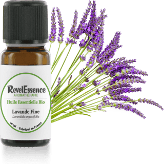 Lavande Fine 10ml-visuel