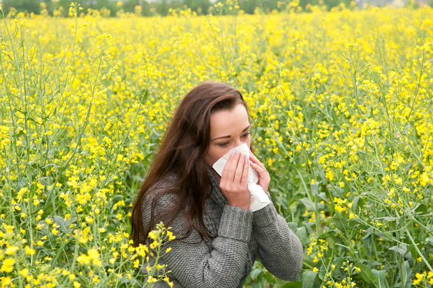 L'aromatherapie et les allergies