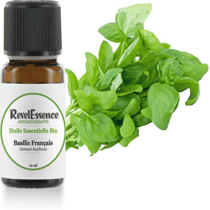 etiquette-basilic-francais-10-ml