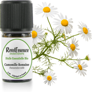 Huile essentielle de camomille romaine 5-ml