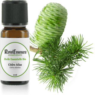 cedre-atlas-10-ml
