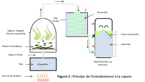 distillation-figure-02