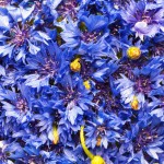 eau-florale