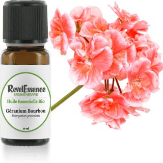 geranium-bourbon-10-ml
