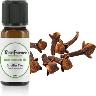 giroflier-clou-10-ml