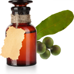 huile vegetale macadamia revelessence