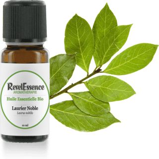 laurier-noble-10-ml