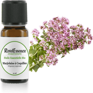 marjolaine-a-coquilles-10-ml