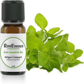 origan-compact-10-ml