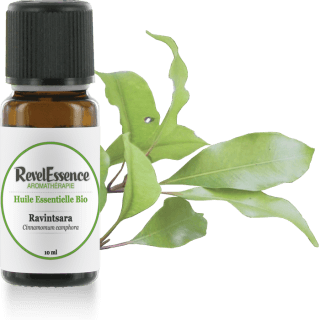 ravintsara-10-ml