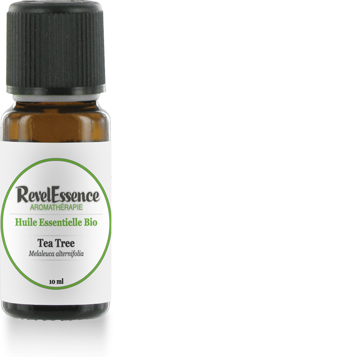 tea-tree-10-ml